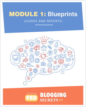 Pro-Blogging Secrets Kit Module 1